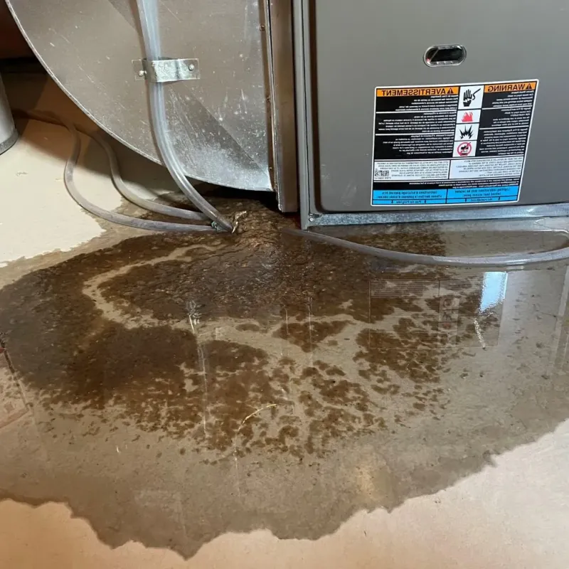 Pipe Burst and Leak Restoration in Altus, OK